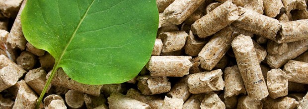 La biomasa se reafirma como lider en crecimiento de instalaciones